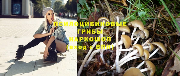 кристаллы Богородск