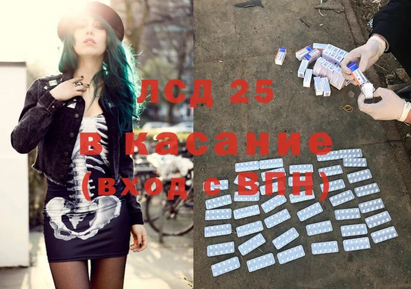 spice Богданович
