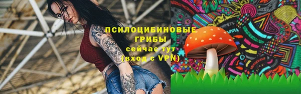 apvp Бронницы
